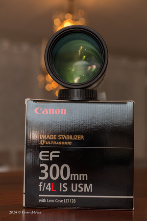 252E2873-9-Canon EOS 5D Mark III