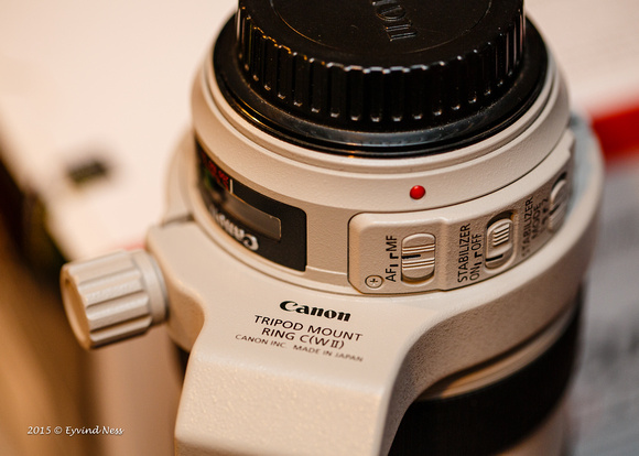252E3645-11-Canon EOS 5D Mark III
