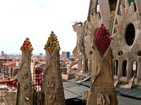 P1000539