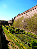 P1000568